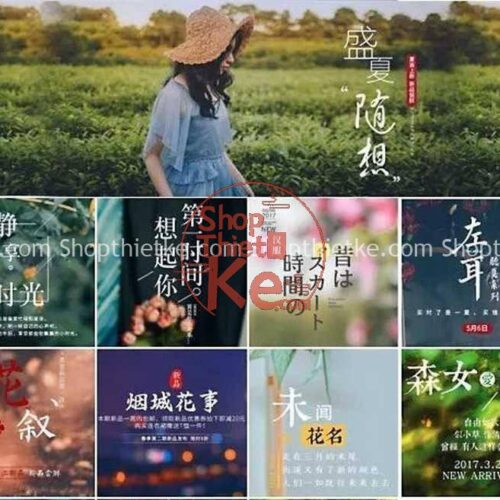 Bộ Typo Nhật Bản + Trung Quốc 380 PSD Bao Gồm Font Chữ