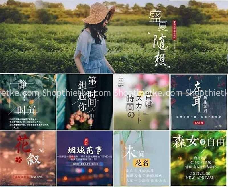 Bộ Typo Nhật Bản + Trung Quốc 380 PSD Bao Gồm Font Chữ