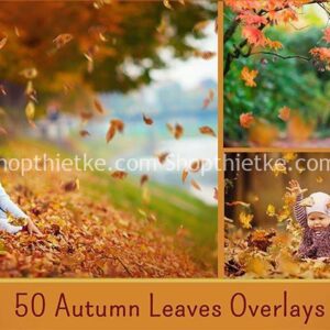 1600+ Ovelays Đầy Đủ Thể Loại Để Ghép Ảnh