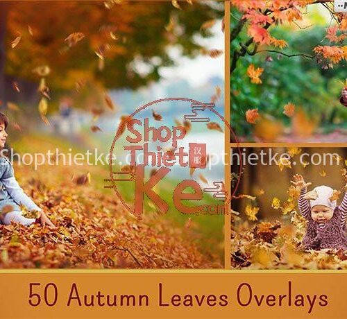 1600+ Ovelays Đầy Đủ Thể Loại Để Ghép Ảnh