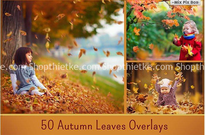 Sản Phẩm Đang Giảm Giá 603 1600+ Ovelays Đầy Đủ Thể Loại Để Ghép Ảnh