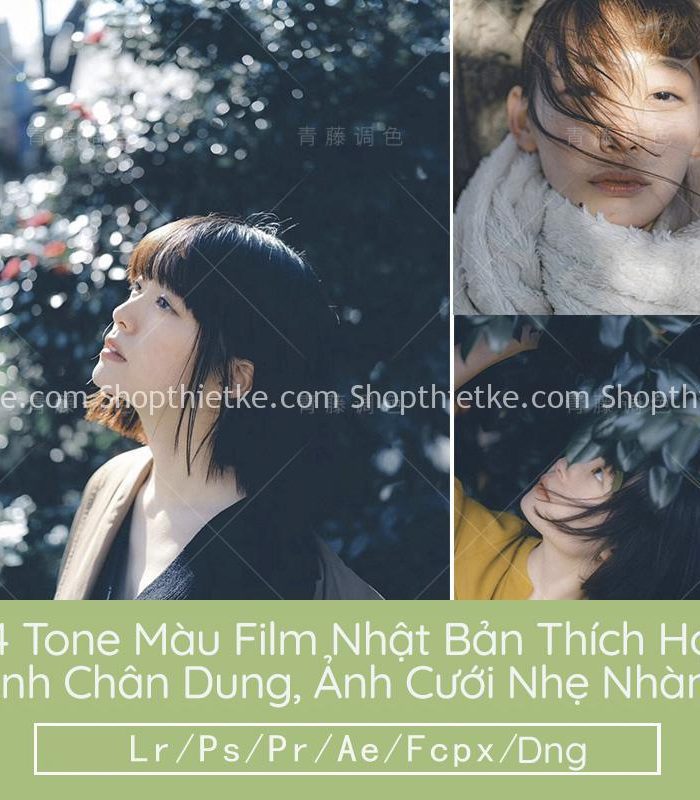04 Tone Màu Film Nhật Bản Thích Hợp Ảnh Chân Dung, Ảnh Cưới Nhẹ Nhàng (LR/XMP/DNG/CUBE)