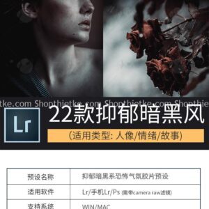 22 Tone Màu Trầm Buồn, Hơi Hướng Ma Mị - Kinh Dị [Lrtemplate/Xmp/Dng]