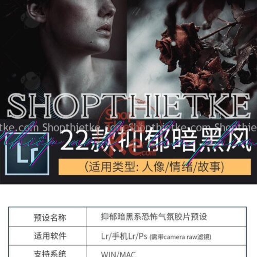 22 Tone Màu Trầm Buồn, Hơi Hướng Ma Mị - Kinh Dị [Lrtemplate/Xmp/Dng]