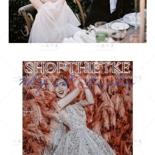 23 Tone Màu Retro - Vàng Nâu Champagne Sang Trọng [Lrtemplate/Xmp/Dng/Cube]