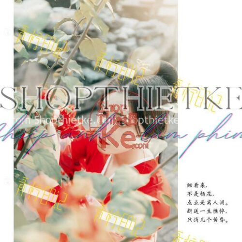 8 Tone Màu Đặc Biệt Dành Riêng Cho Ảnh Cổ Trang (Lrtemplate/Xmp/Dng/Cube)