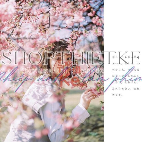 20 Preset Tone Màu Hồng Tươi Ảnh Chân Dung Nhật Bản (LRTEMPLATE/XMP/DNG/CUBE)