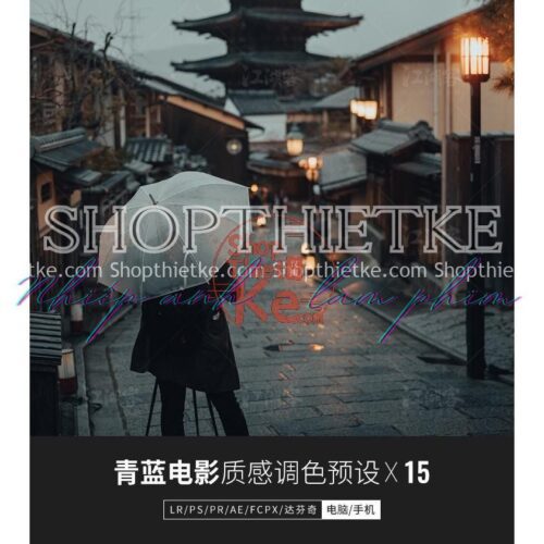 15 Tone Màu Film Đa Dụng Cực Cool Nhiều Định Dạng (LR/ACR/DNG/CUBE)