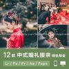12 Tone Màu Dành Riêng Cho Ảnh Cưới – Phóng Sự Cưới (Lr/Ps/Pr/Ae/Fcpx) 1 Pasted 129