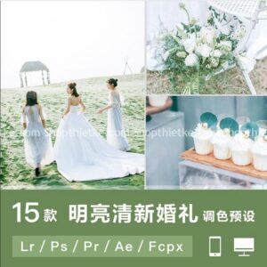 15 Tone Màu Thanh Thoát, Sang Trọng Thích Hợp Ảnh Cưới (Lr/Ps/Pr/Ae/Fcpx)