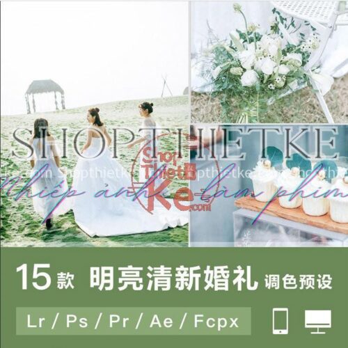 15 Tone Màu Thanh Thoát, Sang Trọng Thích Hợp Ảnh Cưới (Lr/Ps/Pr/Ae/Fcpx)