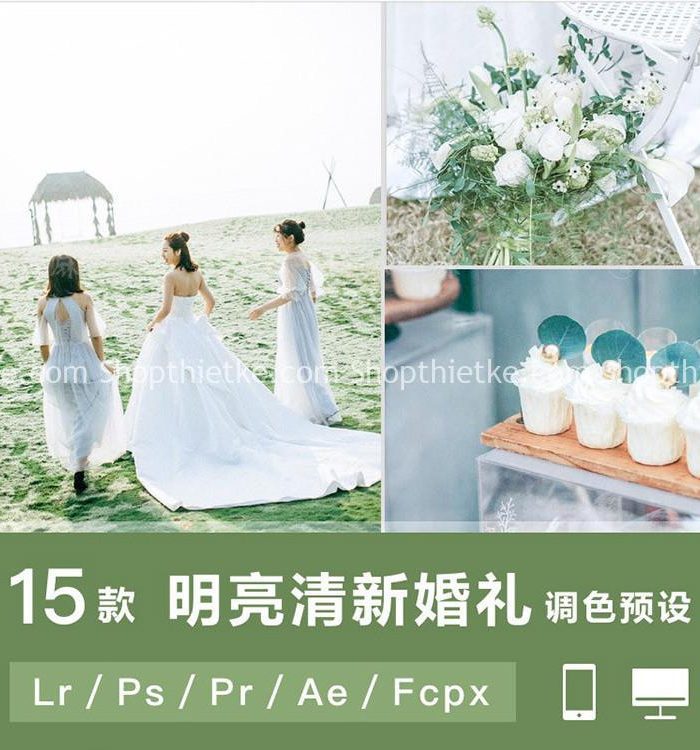 15 Tone Màu Thanh Thoát, Sang Trọng Thích Hợp Ảnh Cưới (Lr/Ps/Pr/Ae/Fcpx)