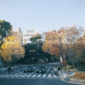 11 Preset Tone Màu Film Mùa Đông Đỉnh Cao