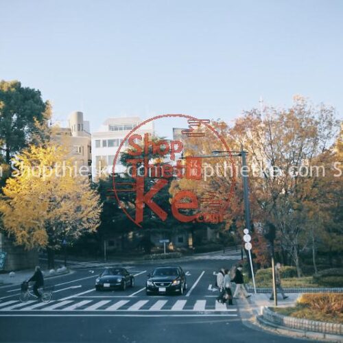 11 Preset Tone Màu Film Mùa Đông Đỉnh Cao