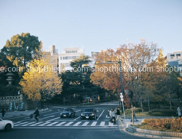 11 Preset Tone Màu Film Mùa Đông Đỉnh Cao