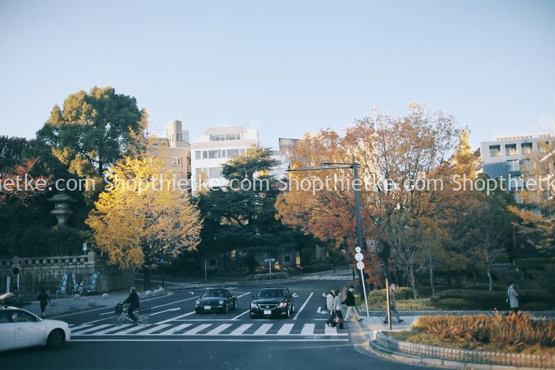 11 Preset Tone Màu Film Mùa Đông Đỉnh Cao 3 Pasted 15