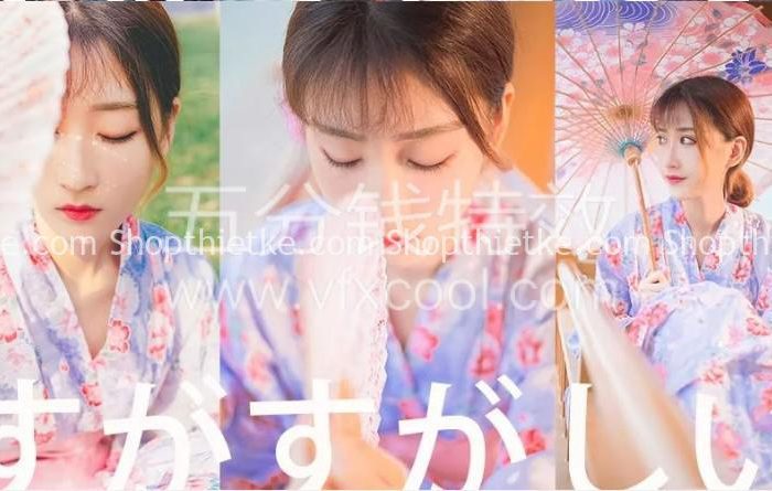 702 Preset Tone Màu Trung Quốc – Hàn Quốc – Nhật Bản
