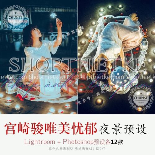 Bộ Preset Dành Riêng Cho Ảnh Chụp Đêm Phong Cách Truyện Tranh Hayao Miyazaki