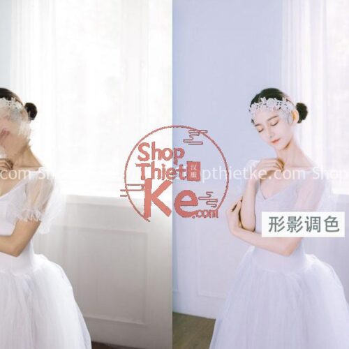 9 Preset Blend Màu Ảnh Cổ Trang Đặc Trưng Trung Quốc