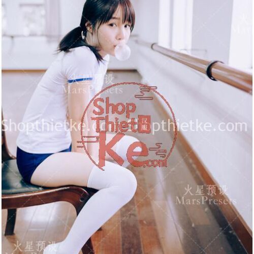 1 Preset Tone Màu Nhật Retro Indoor