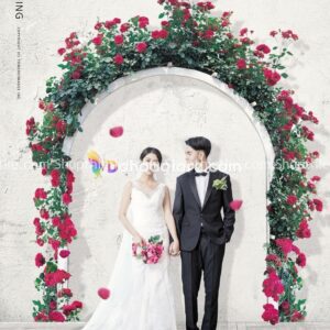 18 PSD Background Ảnh Cưới Phong Cách Hàn Quốc Đầy Đủ Layer