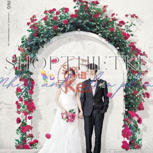 18 PSD Background Ảnh Cưới Phong Cách Hàn Quốc Đầy Đủ Layer