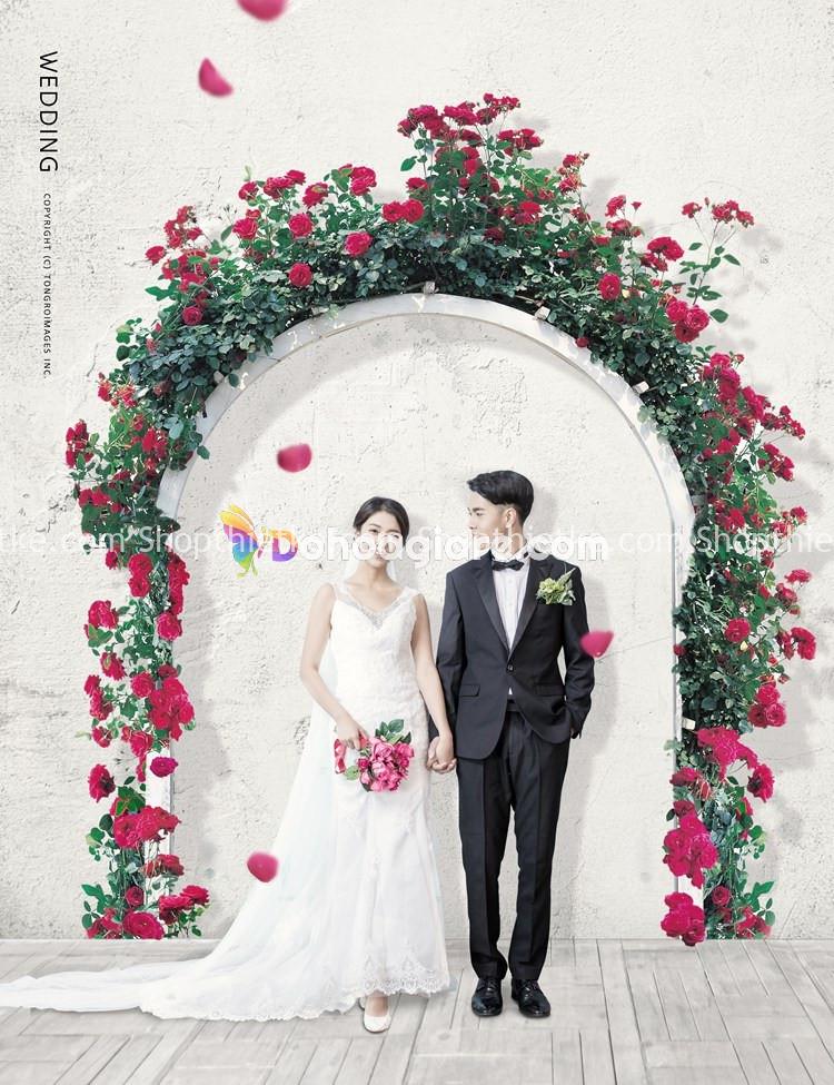 Mách bạn 112 hình nền đám cưới hay nhất  Tin học Đông Hòa