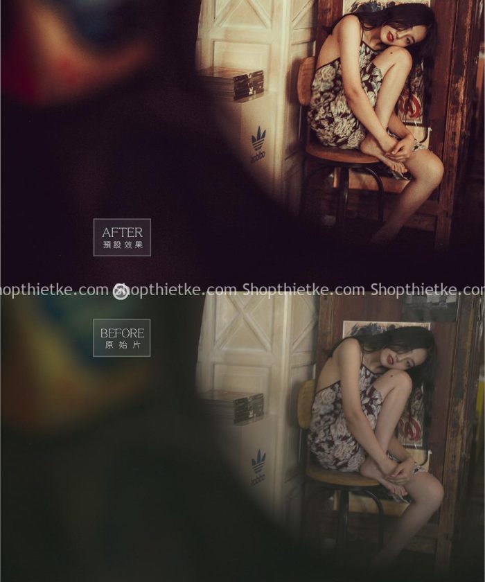 30 Preset Tone Màu Vintage Phong Cách Âu - Mỹ (ACR)