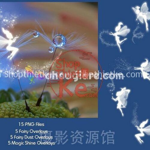 15 PNG Thiên Thần Ghép Ảnh Cổ Tích - File PNG Chất Lượng Cao