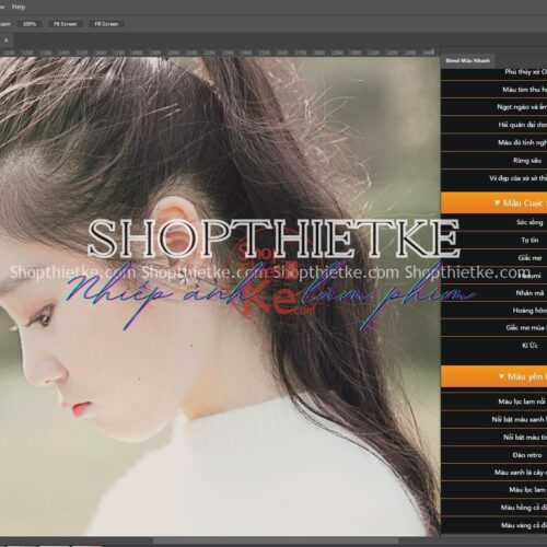 Panel Photoshop Blend Màu Nhiều Phong Cách Khác Nhau - Cực Dễ Dùng (PS 2015-2020/WIN - MAC)