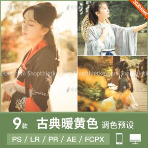 9 Preset Tone Màu Vàng Ấm Áp Thích Hợp Ảnh Cổ Trang [Lrtemplate/xmp/cube]