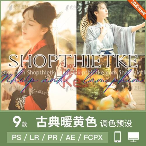 9 Preset Tone Màu Vàng Ấm Áp Thích Hợp Ảnh Cổ Trang [Lrtemplate/xmp/cube]