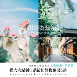 5 Tone Màu Nhẹ Nhàng Thích Hợp Ảnh Phong Cảnh, Chân Dung Đường Phố [Lrtemplate/xmp/dng]