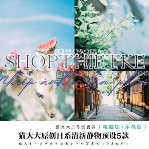 5 Tone Màu Nhẹ Nhàng Thích Hợp Ảnh Phong Cảnh, Chân Dung Đường Phố [Lrtemplate/xmp/dng]