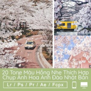 20 Tone Màu Hồng Nhẹ Thích Hợp Chụp Ảnh Hoa Anh Đào Nhật Bản 2021 (LR/XMP/DNG/CUBE)