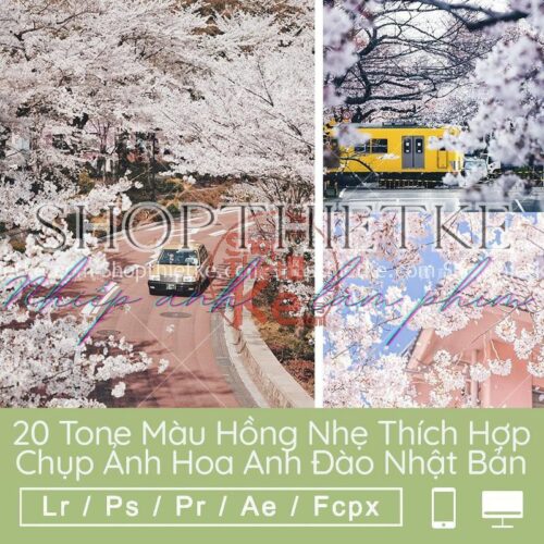 20 Tone Màu Hồng Nhẹ Thích Hợp Chụp Ảnh Hoa Anh Đào Nhật Bản 2021 (LR/XMP/DNG/CUBE)