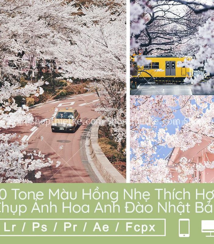 Sản Phẩm Đang Giảm Giá 511 20 Tone Màu Hồng Nhẹ Thích Hợp Chụp Ảnh Hoa Anh Đào Nhật Bản 2021 (LR/XMP/DNG/CUBE)