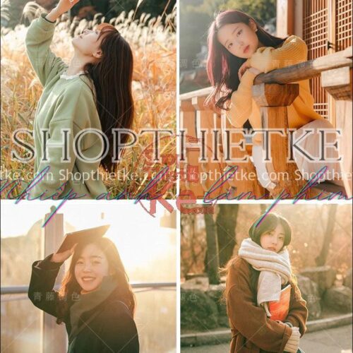 shopthietke com Pasted 77