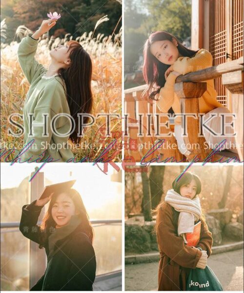 26 Tone Màu Cho Ảnh Chân Dung - Phong Cảnh Thích Hợp Thời Điểm Hoàng Hôn (LR/XMP/DNG/CUBE)