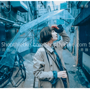 05 Tone Màu Xanh Tươi Mát Phong Cách Hàn Quốc Cho Mùa Hè Nóng Bỏng (LR/XMP/DNG/CUBE)