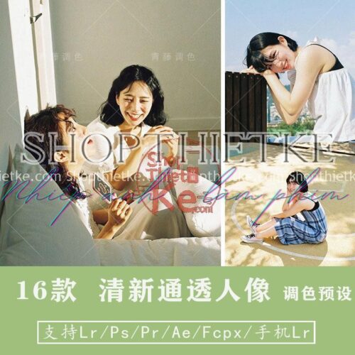 16 Tone Màu Trong Suốt Kết Hợp Retro Phong Cách Nhật Bản 2021 (LR/XMP/DNG/CUBE)