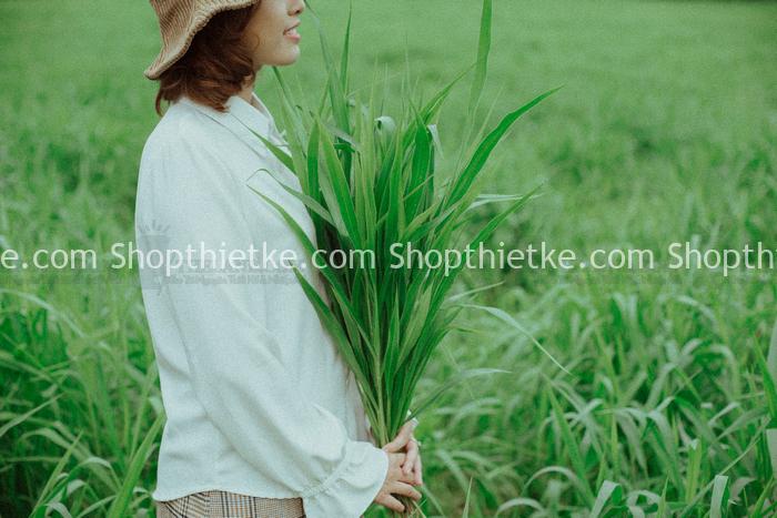 Sản Phẩm Đang Giảm Giá 482 4000 Màu China Tổng Hợp Cài Đặt Chỉ Với 1 Click Chuột (XMP/LR/CUBE)