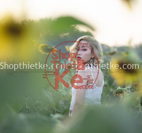 4000 Màu China Tổng Hợp Cài Đặt Chỉ Với 1 Click Chuột (XMP/LR/CUBE)