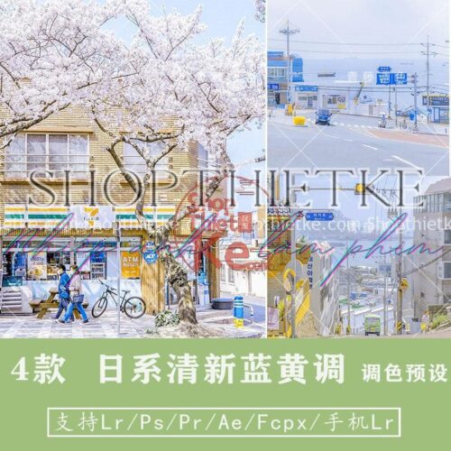 04 Tone Màu Anime Nhật Bản Thích Hợp Ảnh Nhiều Ánh Sáng (XMP/LR/DNG/CUBE)