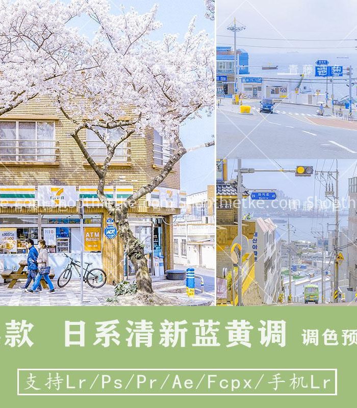 04 Tone Màu Anime Nhật Bản Thích Hợp Ảnh Nhiều Ánh Sáng (XMP/LR/DNG/CUBE)