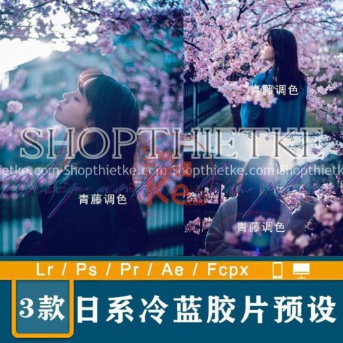 03 Tone Màu Lạnh Xanh Lam Phong Cách Nhật Bản (XMP/DNG/CUBE)