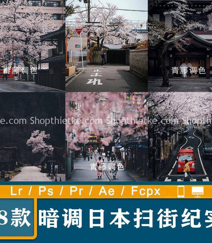08 Tone Màu Film Thích Hợp Ảnh Du Lịch Phong Cách Nhật Bản (XMP/DNG/CUBE)