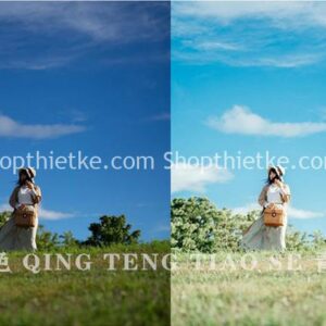 Bộ Sưu Tập 320 Preset Tone Màu Chân Dung Trong Suốt Phong Cách Nhật Bản Hamada Hideaki (XMP/DNG/CUBE)