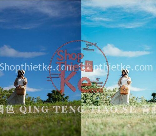 Bộ Sưu Tập 320 Preset Tone Màu Chân Dung Trong Suốt Phong Cách Nhật Bản Hamada Hideaki (XMP/DNG/CUBE)
