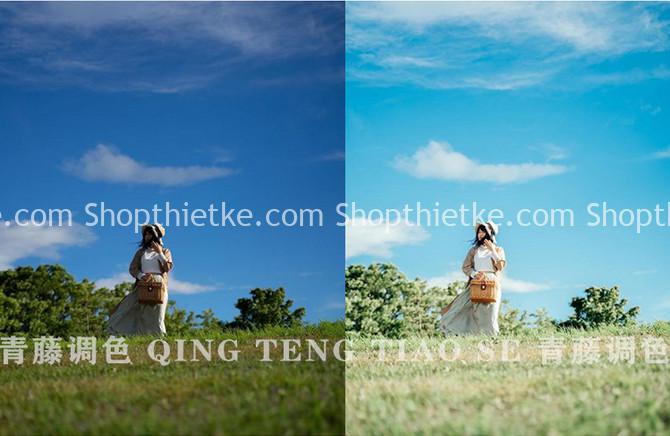 Sản Phẩm Đang Giảm Giá 466 Bộ Sưu Tập 320 Preset Tone Màu Chân Dung Trong Suốt Phong Cách Nhật Bản Hamada Hideaki (XMP/DNG/CUBE)